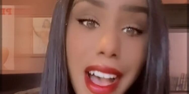 Horror novel Shy Girl pulled from shelves after claims it was written by AI