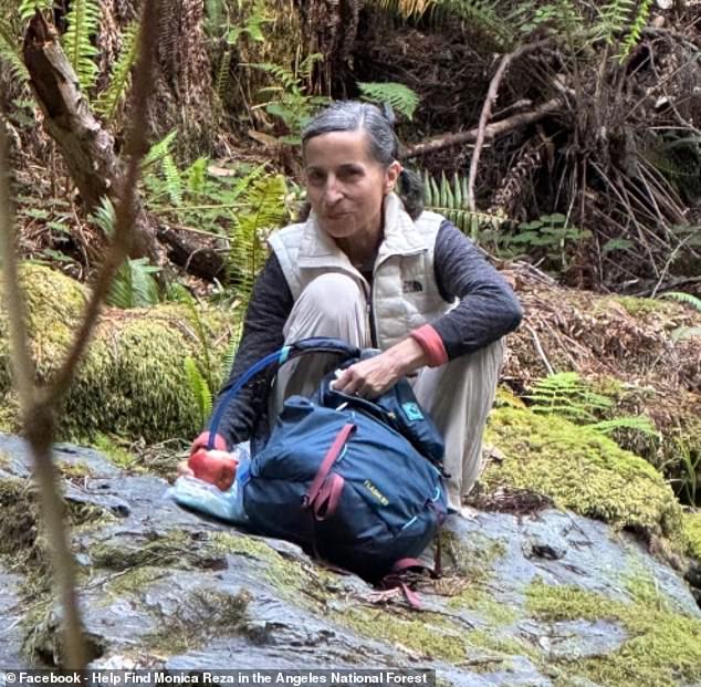 Reza (pictured) worked for Aerojet Rocketdyne, funded for years by NASA and the Air Force Research Laboratory, and created a nickel-based superalloy for rockets