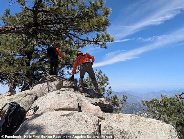 Authorities and volunteers combed the area using every resource at their disposal (pictured), but Reza remains missing