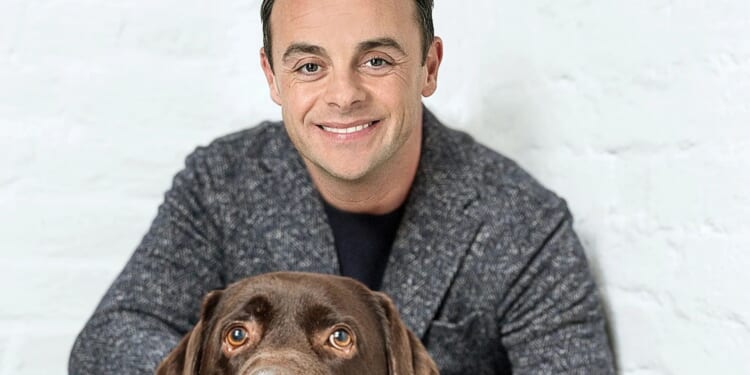 Ant McPartlin and ex-wife Lisa Armstrong reach agreement over beloved dog Hurley's ashes after he died aged 12