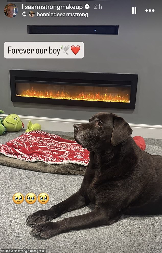 Lisa shared a snap of him by the fireplace. Sources close to the former couple have told the Daily Mail that Hurley has been cremated - and that his ashes have been divided in half