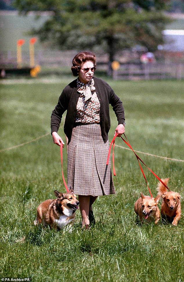 The late Queen pictured with her beloved corgis in 1980. The Queen bequeathed two corgis to Ms Ferguson in her will