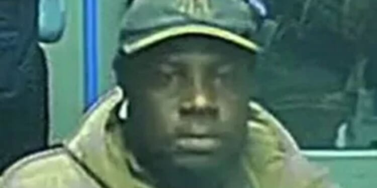 Cops release CCTV after 'man touched himself on train' next to woman as probe launched