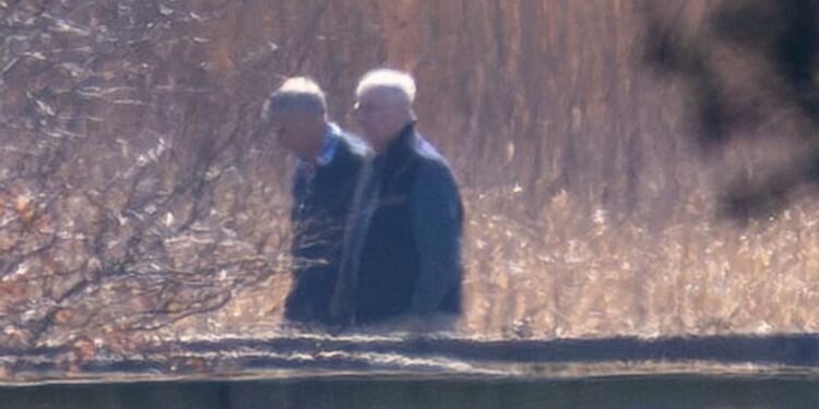 Andrew seen for first time since being released after Epstein arrest as he's spotted walking dogs at new home Marsh Farm