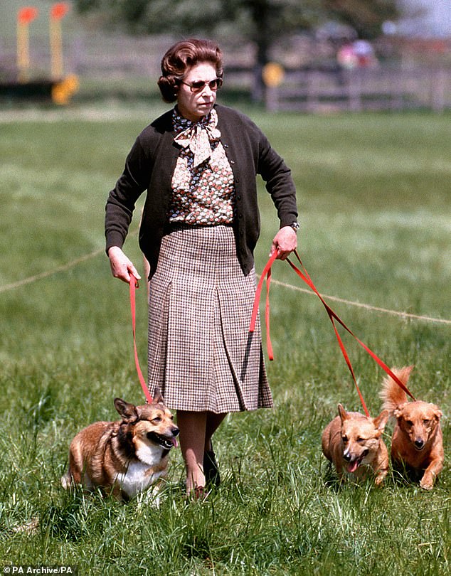 The late Queen pictured with her beloved corgis in 1980. The Queen bequeathed two corgis to Ms Ferguson in her will