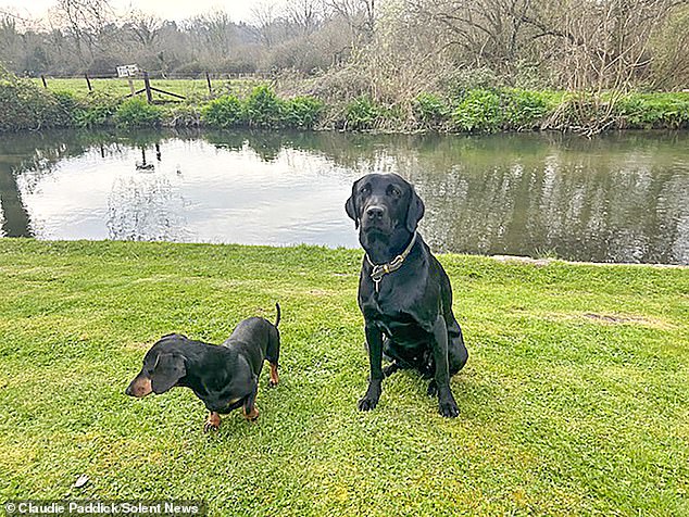 Mrs Paddick had been out on a walk with her Labrador Growler and her sausage dog Patsy