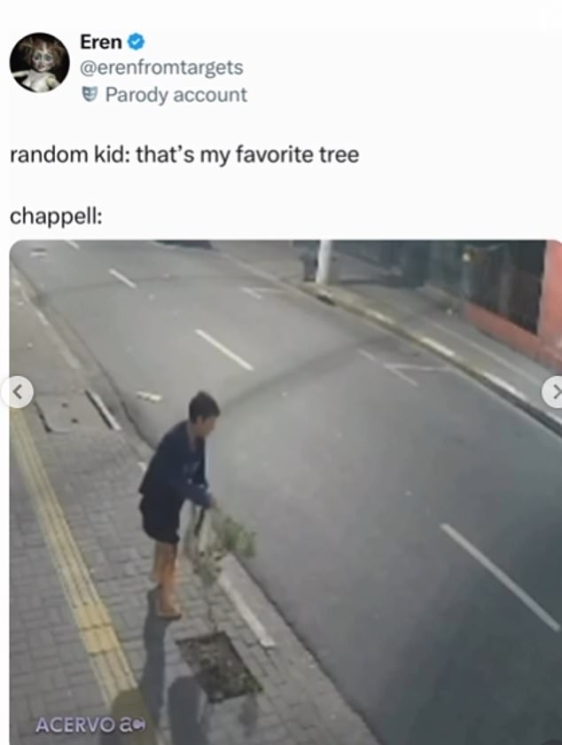 Other viral posts compared Chappell to a nightmarish myth used to scare children. 'Chappell Roan isn’t real, it’s a modern baba yaga myth meant to scare misbehaving children' wrote one