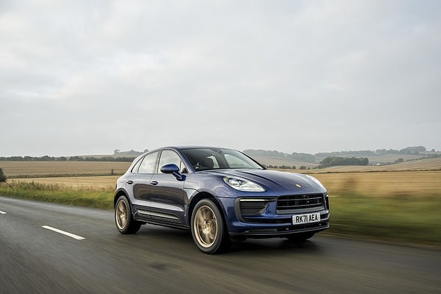Mrs Hayward said she reversed her Porsche Macan slowly onto her drive and accidentally struck Rufus (stock image)