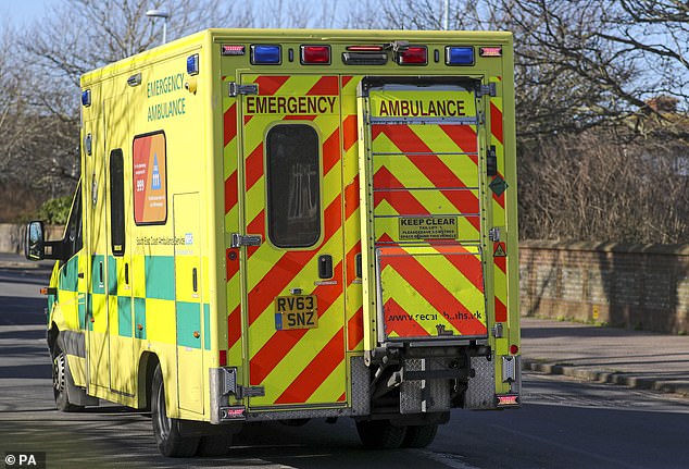 Paramedics declared Rufus dead at the scene (stock image)
