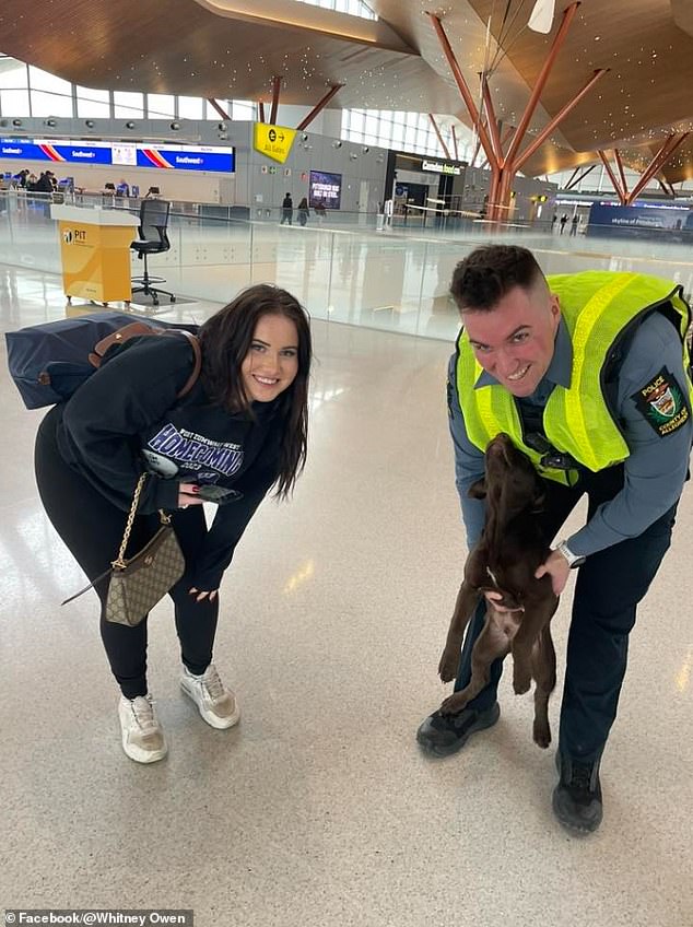Police said that the dog is being well taken care of and will be placed into a foster home. A Facebook user posted this photo with an officer and the dog that was taken shortly after it was found