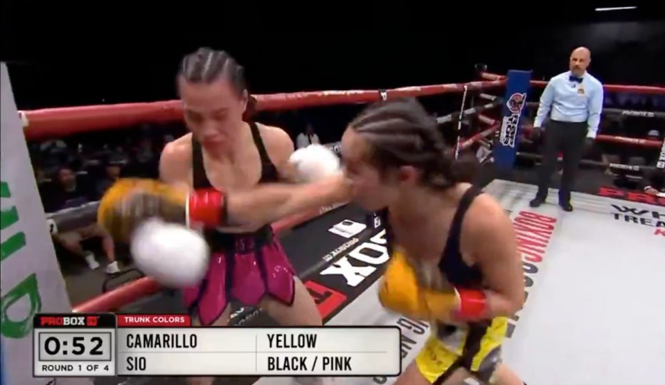 NINTCHDBPICT001068998262