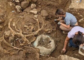 Largest ever Iron Age metal hoard found in Britain reveals secret of how the elite travelled 2,000 years ago