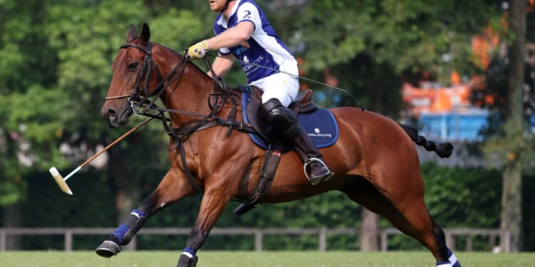 Harry and Meghan set to produce polo-themed TV drama for Netflix about rival families at war in latest 'passion project'