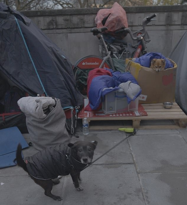 The men living at a makeshift camp (pictured) in central London are members of a new class of homeless ¿ self-employed riders, delivering takeaway food across the capital from dawn to dusk but forced to sleep rough because they say their wages are not enough to secure even a shared room