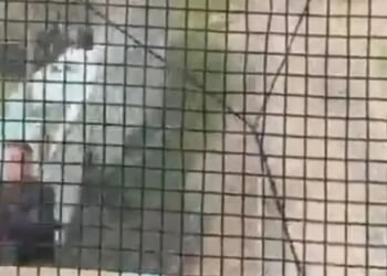 Heart-stopping moment hero cop pulls toddler, 3, to safety at last second as train hurtles towards him on tracks