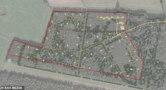 Pictured: The 50 acre woodland site where the cabins will be situated. As well as over 40 cabins, there will be three special wellness pods offering contrast therapy, hot saunas inside as well as icy outdoor plunge pools and hot water pools on the decking