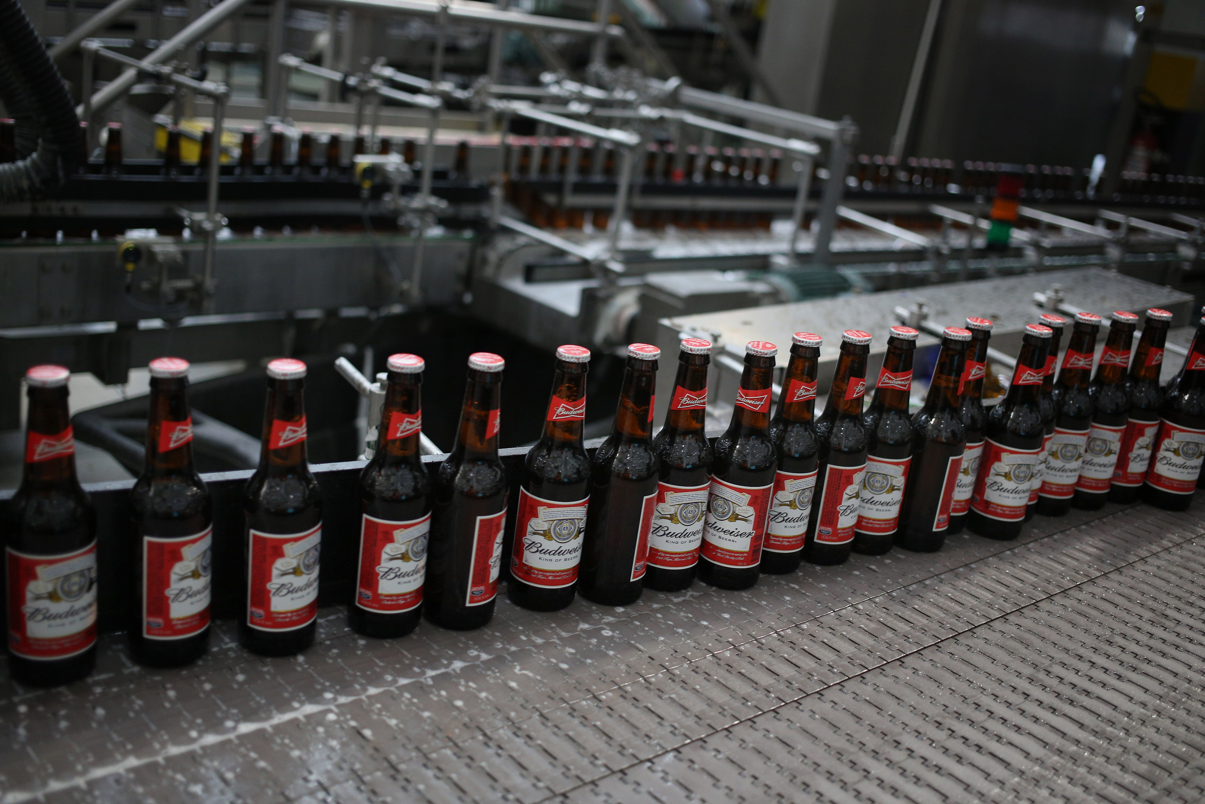 Bottles of beer move along the production line at the Anheuser-Busch Budweiser bottling facility in St. Louis, Missouri, U.S., on Tuesday, July 28, 2015. Anheuser-Busch InBev NA is scheduled to release earnings figures July 30. Photographer: Luke Sharrett/Bloomberg via Getty Images