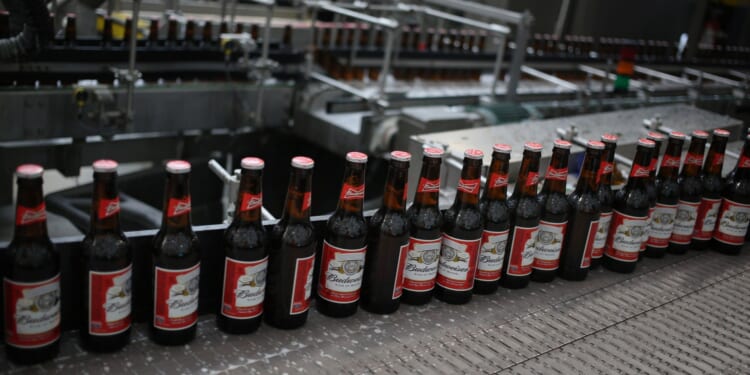 Budweiser AXES ‘premium’ beer brand from supermarkets after just 2 years