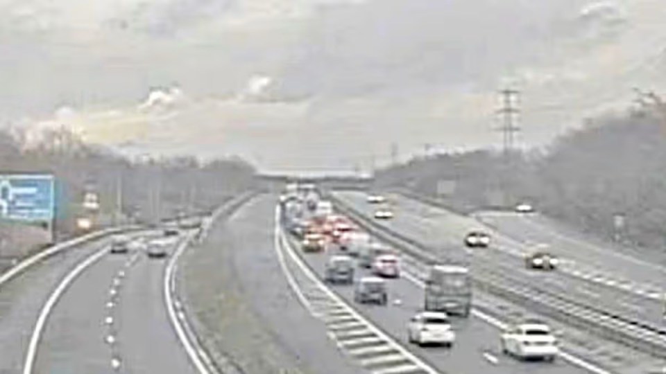 NINTCHDBPICT001069333549