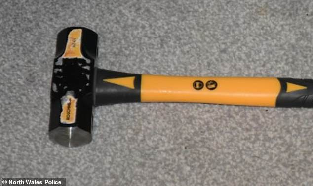 The hammer found at Roberts's home which he had earlier bought on Amazon