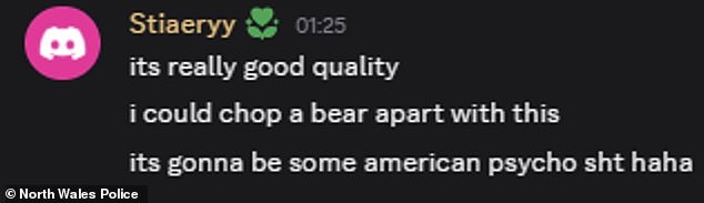 He spent hours a day in a toxic online world where he could give vent to his most depraved fantasies. Pictured: A message he posted on online chat forum Discord