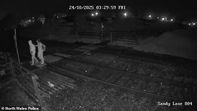 He then led her to a nature reserve (pictured, the pair walking there, captured on CCTV footage) and bludgeoned her to death with the hammer - which he had bought on Amazon for £20