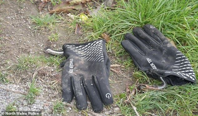 In the weeks running up to the murder he used Chinese AI search tool DeepSeek to ask for tips for a 'non-experienced killer'. Pictured: Gloves found at the crime scene