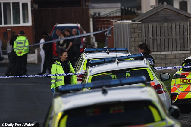 When he was arrested later that day, Roberts had barricaded himself into his bedroom. He calmly asked officers: 'Is the body you found my mother?'. Pictured: Police at his home address