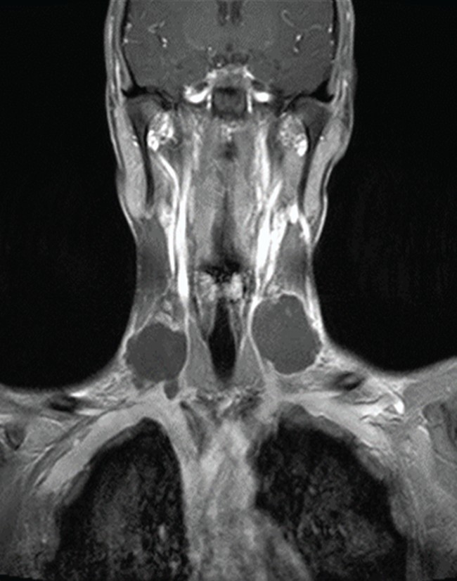 NINTCHDBPICT001069495077