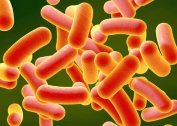 Urgent warning over 'highly contagious' sex superbug after surge in cases