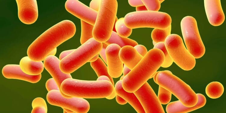 Urgent warning over 'highly contagious' sex superbug after surge in cases