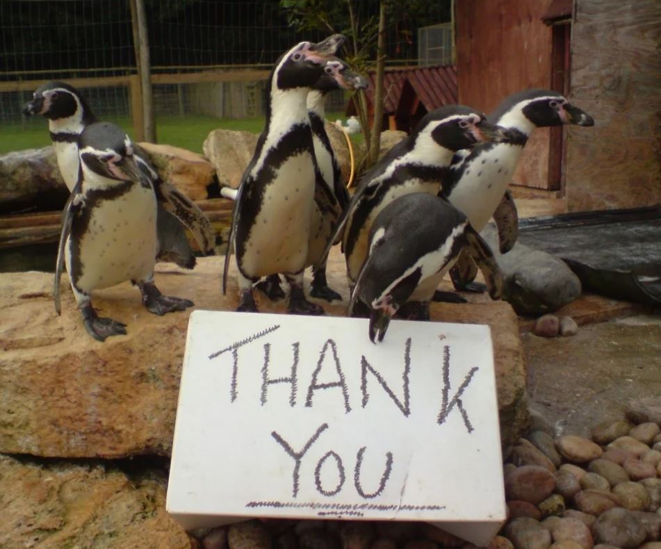 NINTCHDBPICT001069511143