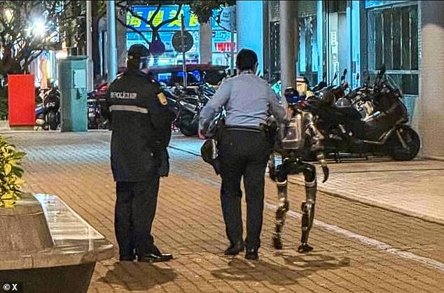 A bizarre video shows the moment a humanoid robot is arrested by police after terrifying an elderly woman in China