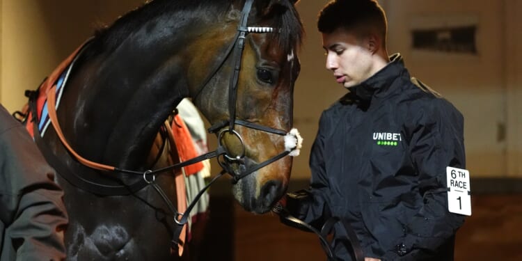 'He has a real chance to make history'