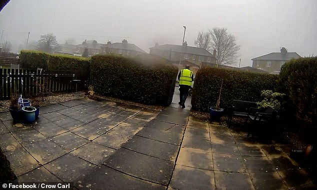 The family said they were in 'total shock' when they checked the cameras and watched Stancu make off with the tabby