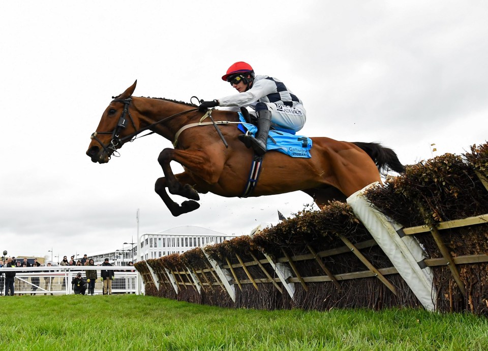 Cheltenham Racing Festival 2024 - Day Two