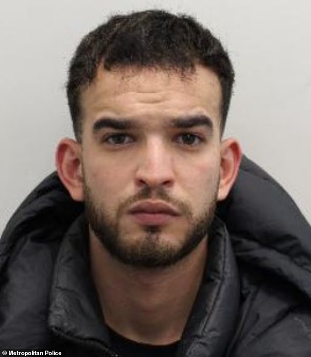 Only one, Algerian migrant Ahmed Djidi (pictured), was caught. He was jailed for 22 months