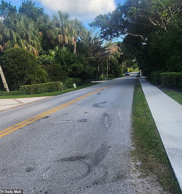 Skid marks on the quiet residential road bear the scars of Woods' latest driving shame