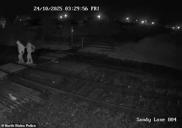 This is the moment Roberts led his mother to a secluded nature reserve before bludgeoning her