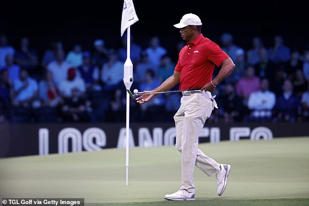 Chamblee urged Woods to walk away from golf to avoid putting his body through 'stress'