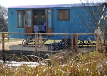 Channel Springwatch and immerse yourself in a nature reserve