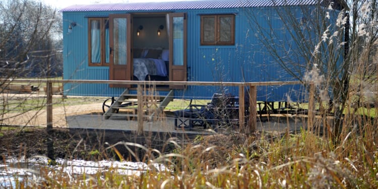 Channel Springwatch and immerse yourself in a nature reserve