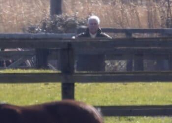 Downcast Andrew stares longingly at his horses after being banned from riding in wake of shock arrest over Epstein links