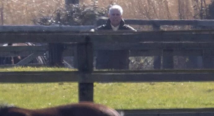 Downcast Andrew stares longingly at his horses after being banned from riding in wake of shock arrest over Epstein links