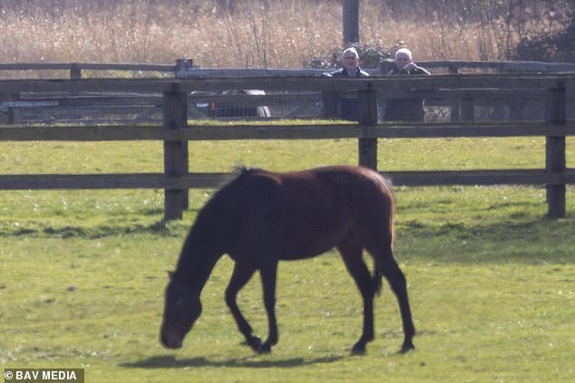 Andrew inspects the animals with his security guard near Wood Farm, where he is currently staying