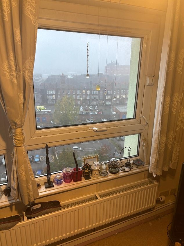 Relatives previously told MailOnline they believe she had leant too far out the window while smoking and plunged to her death (Pictured: A neighbour's window in the same tower block)