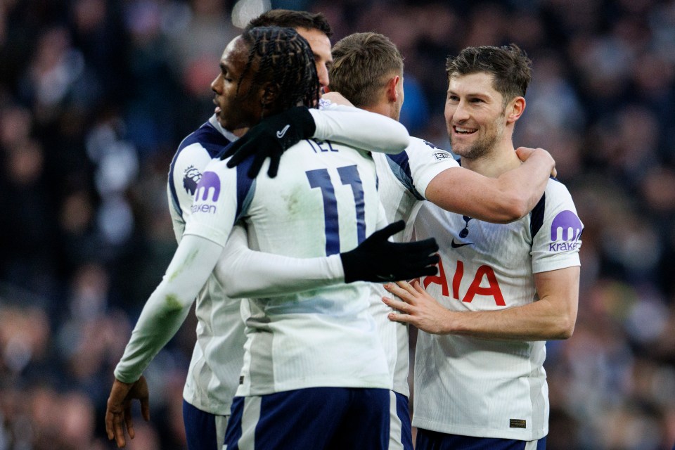 English Premier League - Tottenham Hotspur vs Sunderland
