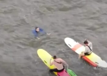 Moment police chase fleeing suspect on paddleboards as he leaps into river and swims away