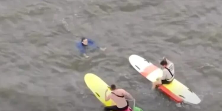 Moment police chase fleeing suspect on paddleboards as he leaps into river and swims away