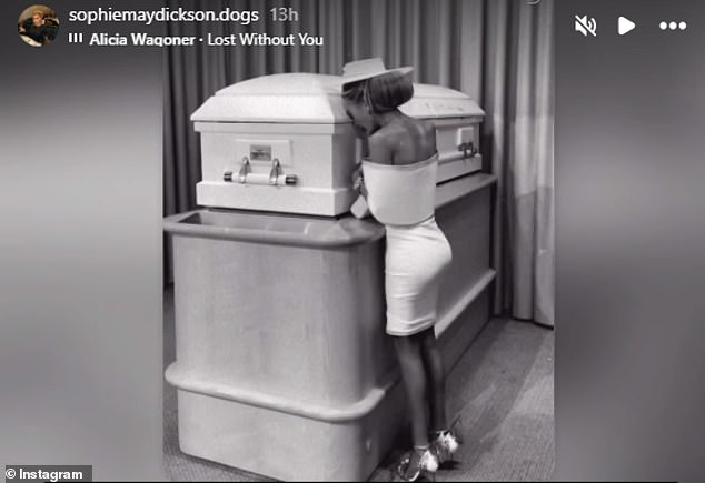 Influencer Sophie-May Dickson has now claimed she is a victim of online bullying